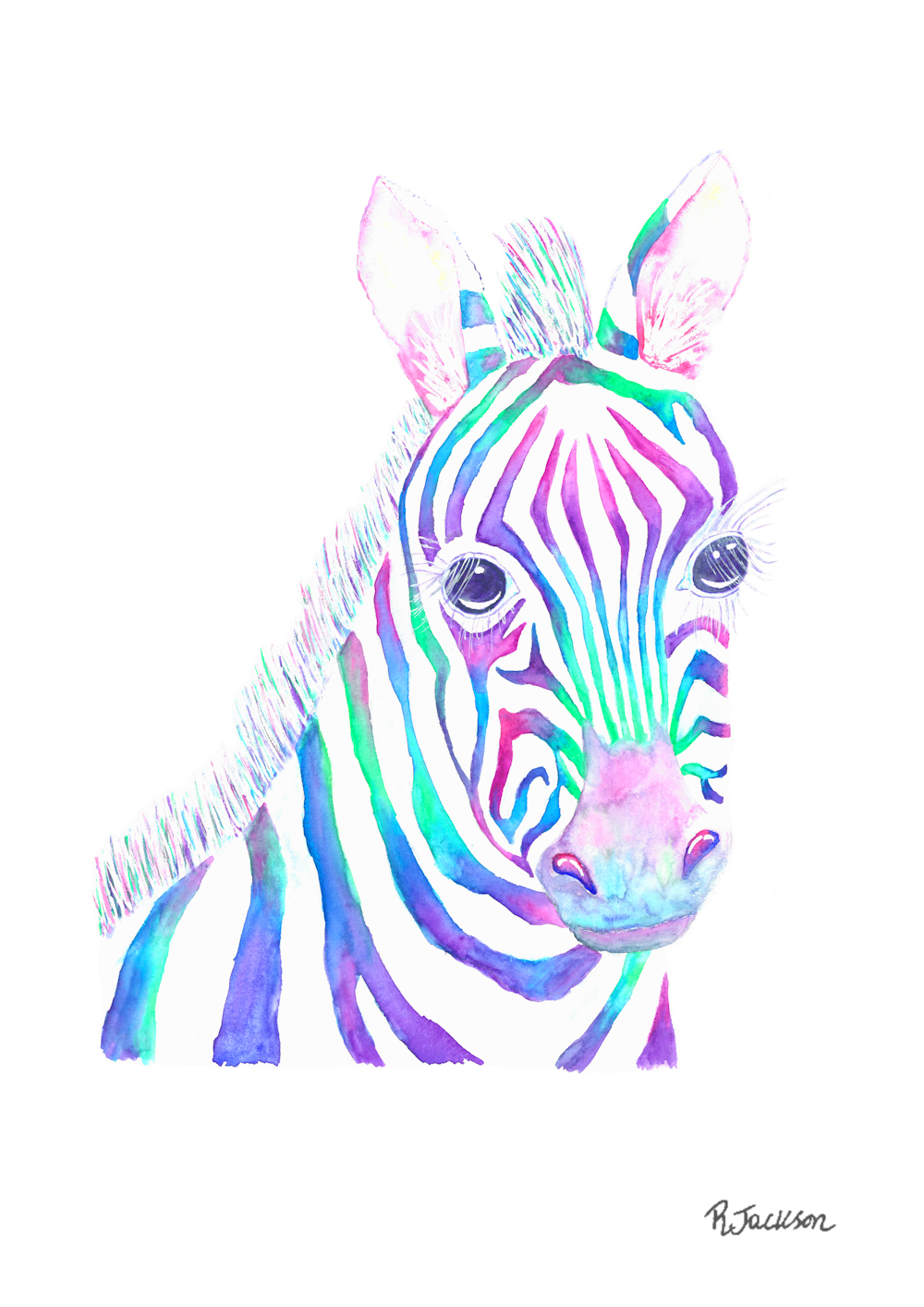 Zebra