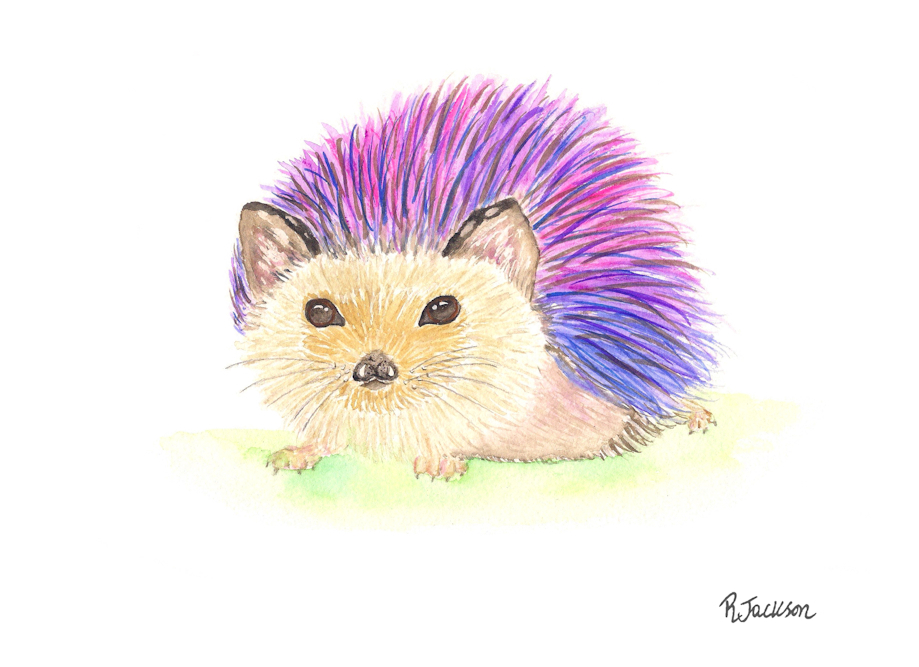Hedgehog