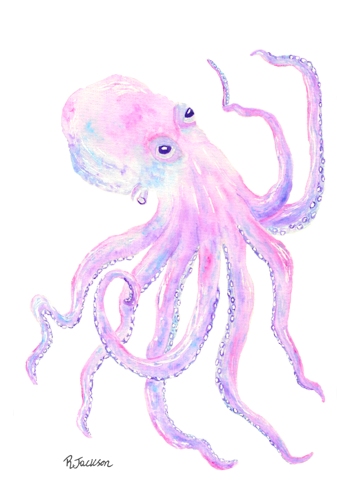 Octopus