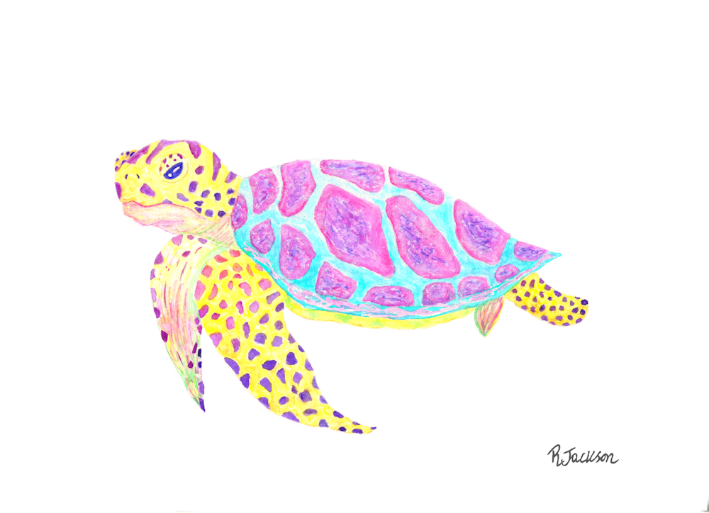 Turtle